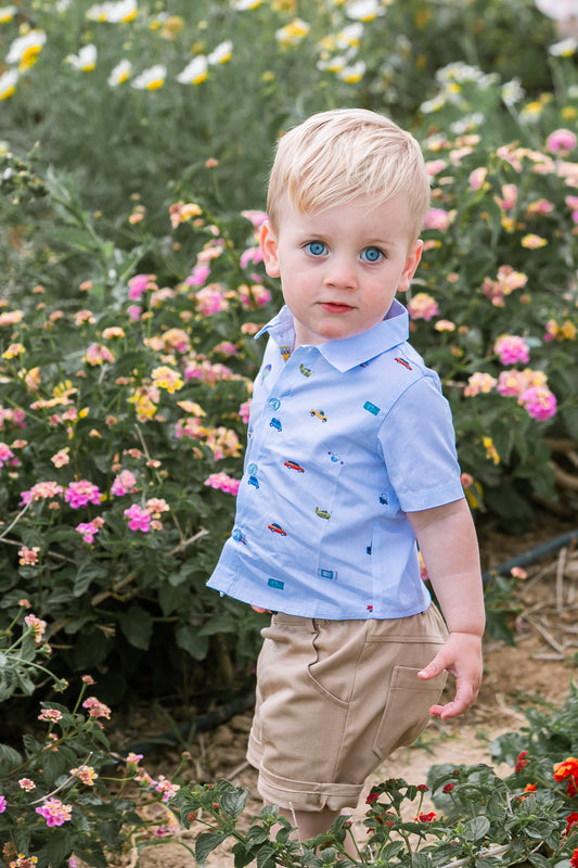 Chemise demi-manches à rayures bleues et impression all over sur le devant